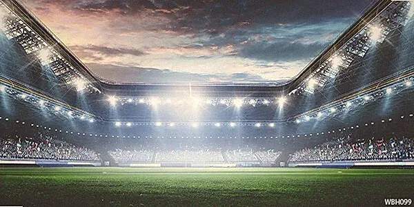 20'x10'CP Soccer Field Sport Scenic Microfiber Fabric background backdrop WBH099