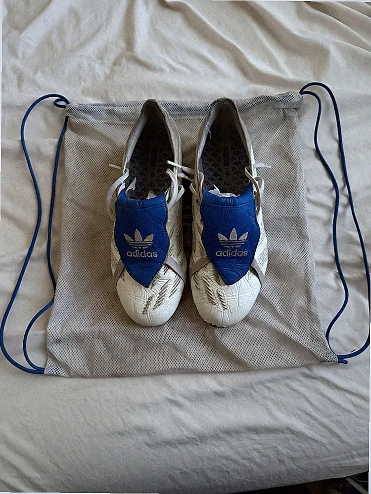 adidas Predator 24 Elite Men’s White/Blue Low Top Lace-Up Plastic Soccer Cleats