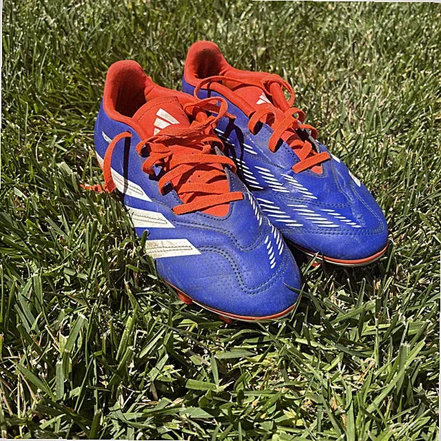 Adidas Predator Club Fg Used Size 7