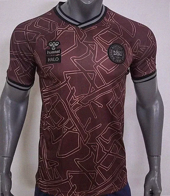 Denmark Soccer Special Edition Brown 2024 Jersey