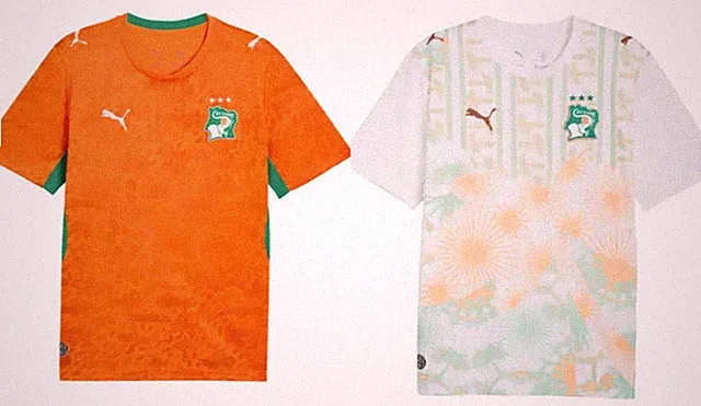 Ivory Coast Men's Home AND Away 2026 World Cup Jerseys-Brand New-Multiple Sizes