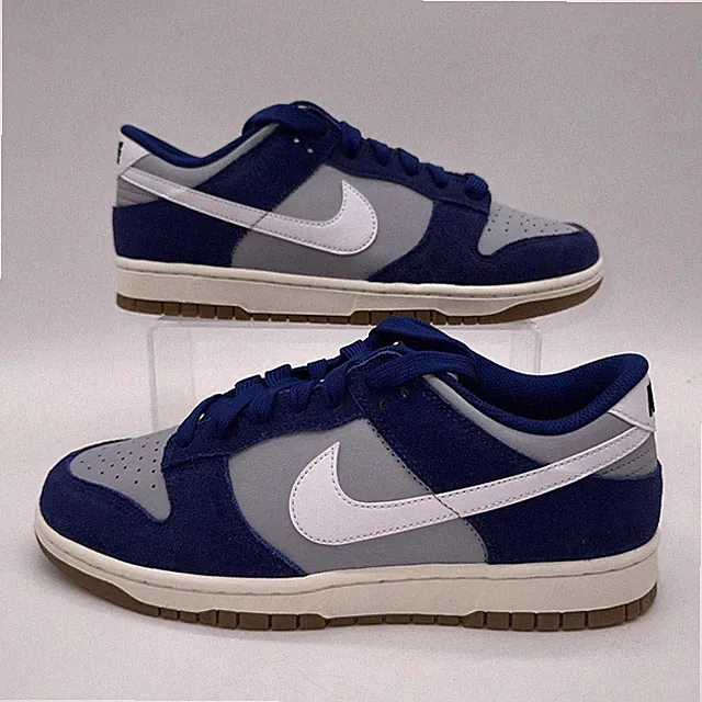 Nike Men's Size 10 Dunk Low Retro SE (IB6399 003) Blue/Gray Sneaker Sports
