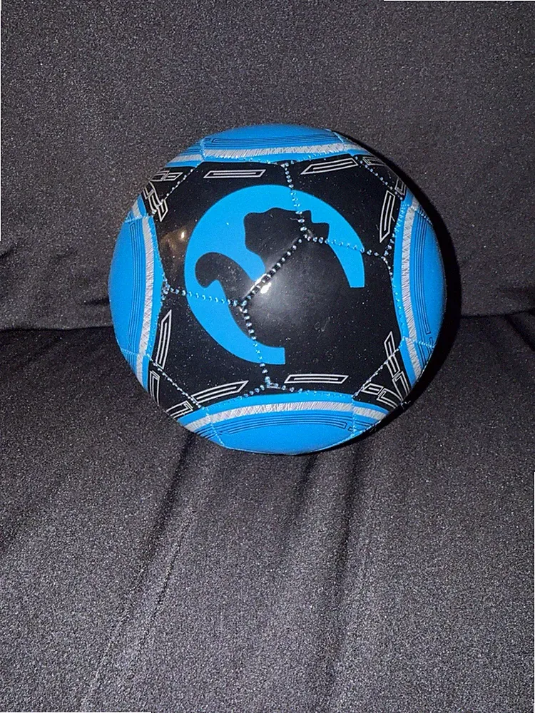 ProCat by PUMA Size 1 Mini Soccer Ball In Blue Brand New