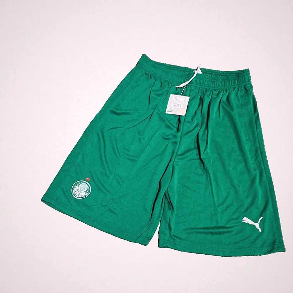 PUMA DryCELL Men’s L Green Soccer Athletic Shorts Mesh Drawstring 74428801