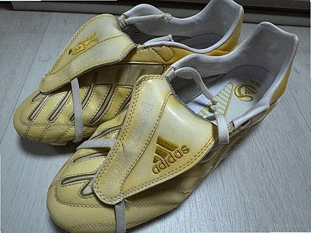 Size 10.5 - Adidas Predator POWERS TRX FG DB