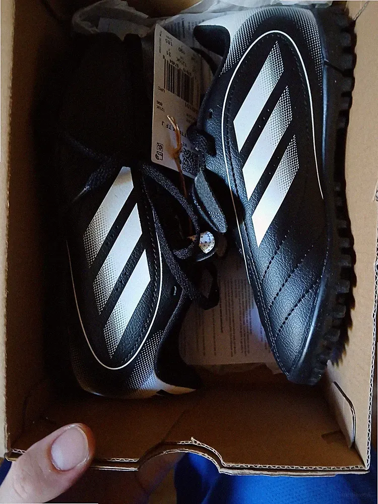 Concave Turf